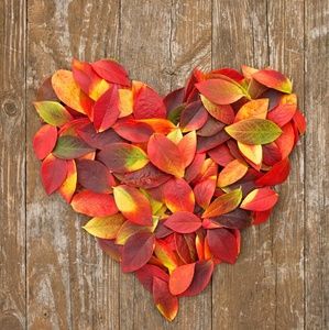 Meet your Posher, Cheyenne