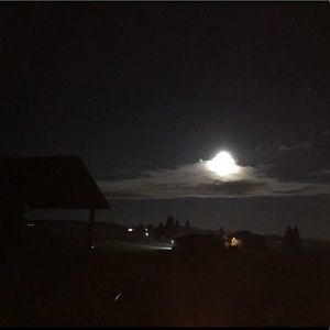 Meet your Posher, Tom