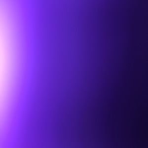 Meet your Posher, Dee