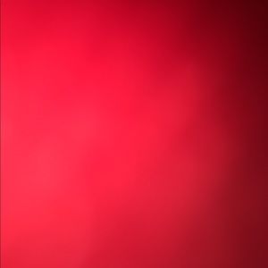 Meet your Posher, Antonio