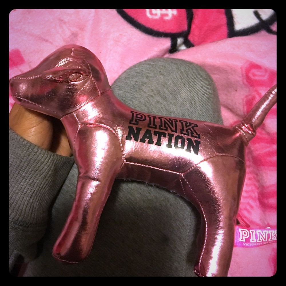 Vs pink dog