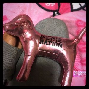 Vs pink dog