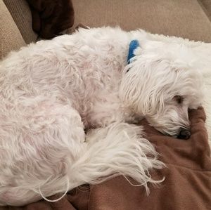 Meet your Posher, Patty