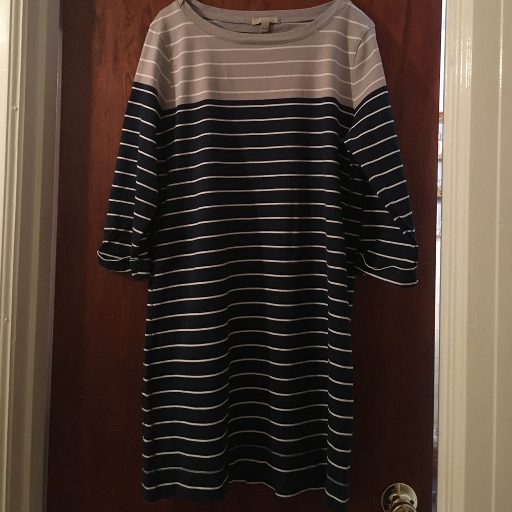 Banana republic XL fall dress