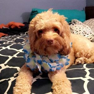 Meet your Posher, Katharine