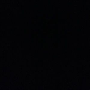 Meet your Posher, Bee