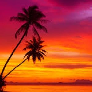 Meet your Posher, Ernie