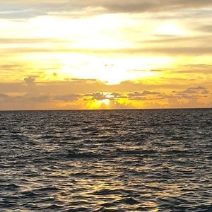 Meet your Posher, Ale