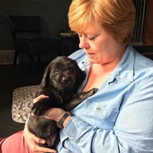 Meet your Posher, Ann