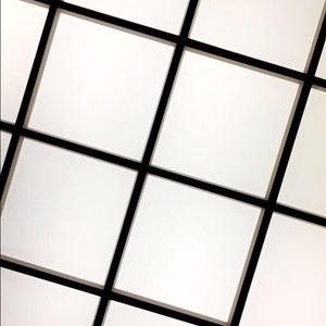 Meet your Posher, Ashton