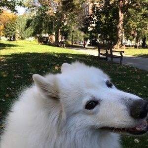 Meet your Posher, Dan