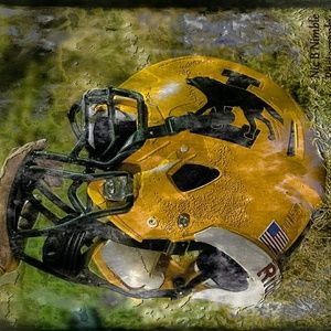 Meet your Posher, Ronnie