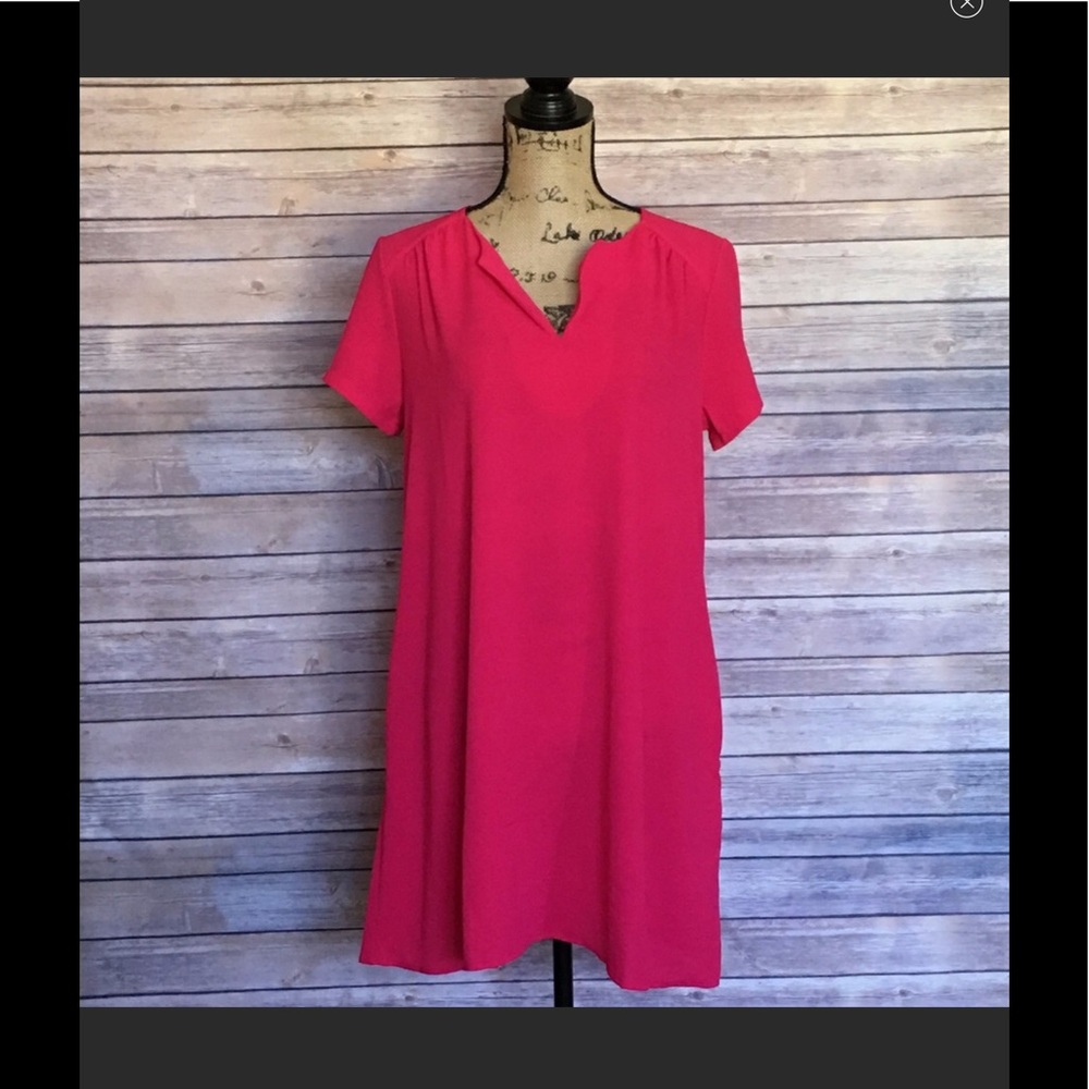 LUSH small pink dress with pockets 👗