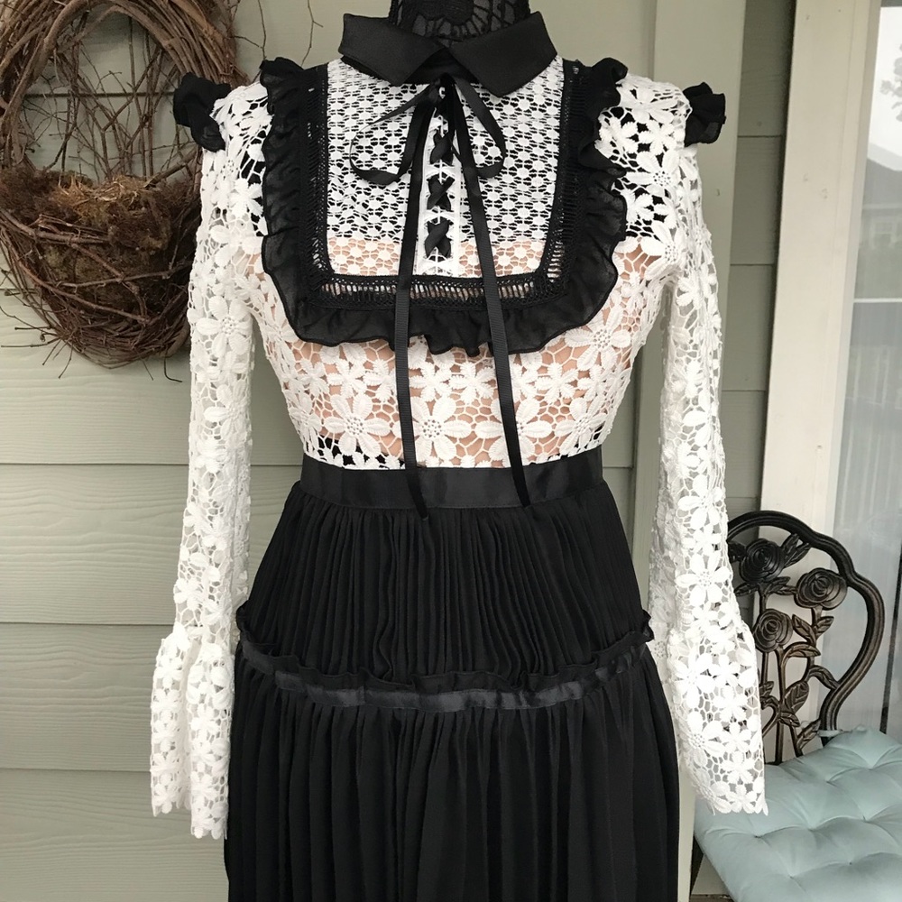 Lace and pleated dress