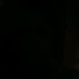 Meet your Posher, Bob