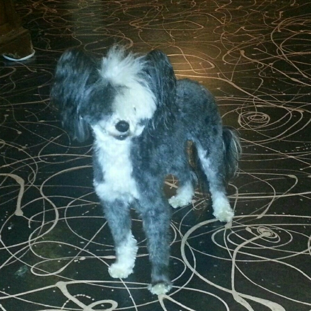 Meet your Posher, Kera