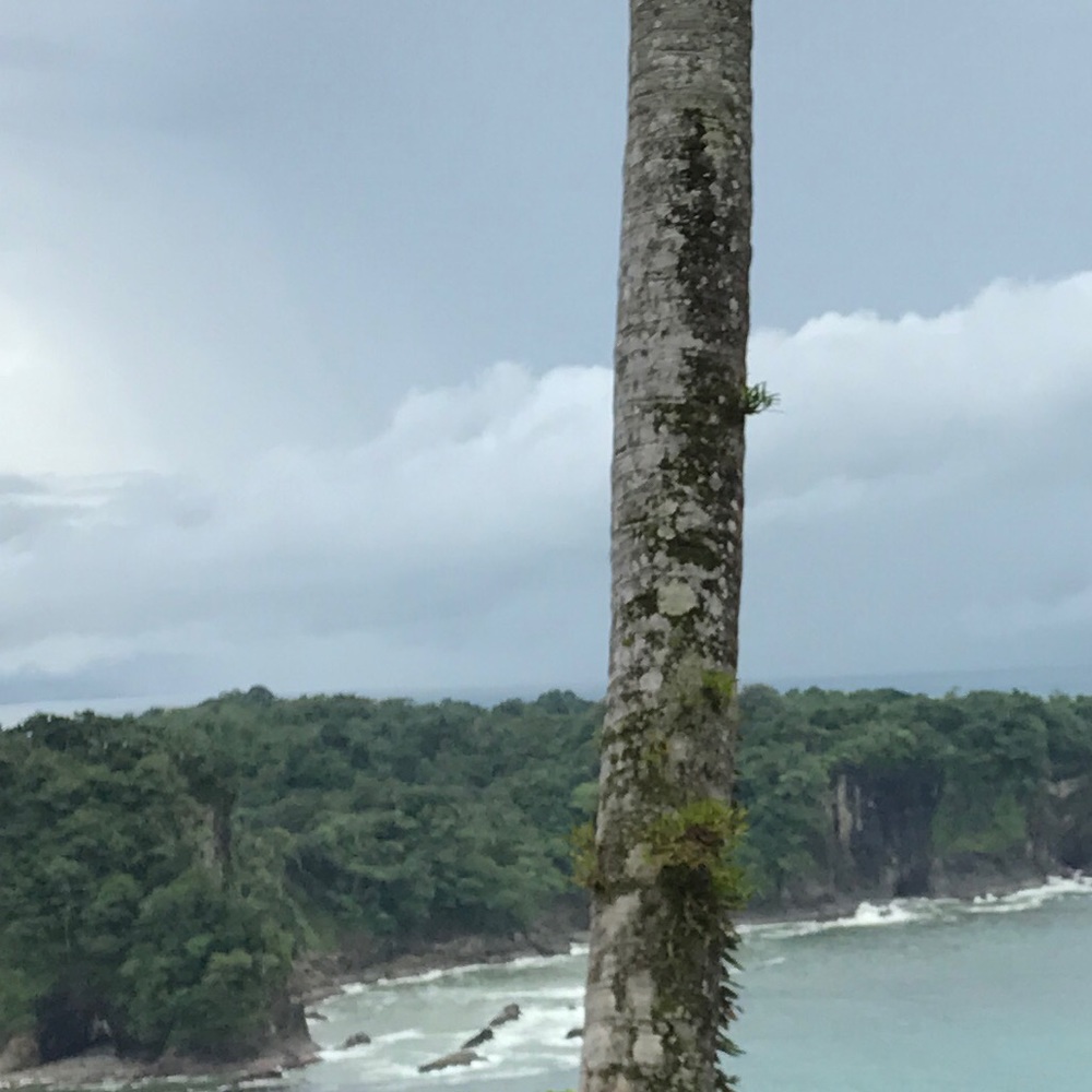 Meet your Posher, Justine