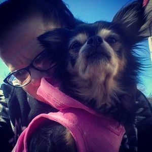 Meet your Posher, Heather