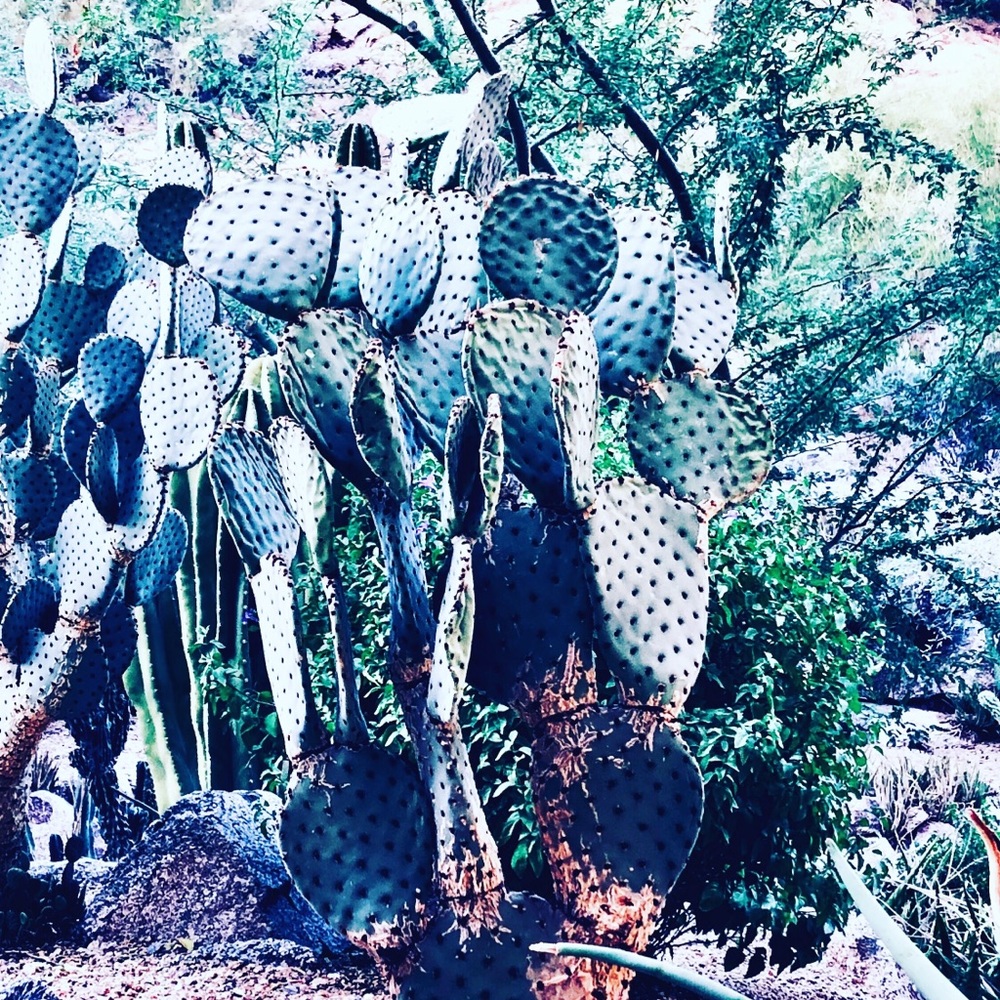 Meet your Posher, Courtney