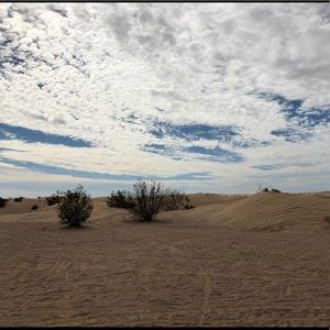 Meet your Posher, Hailee