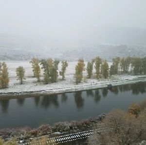 Meet your Posher, Camilla