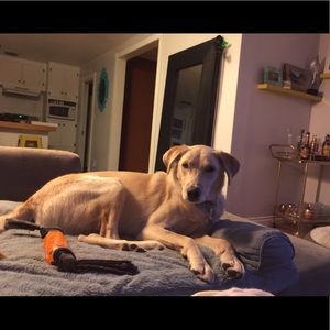 Meet your Posher, Rick