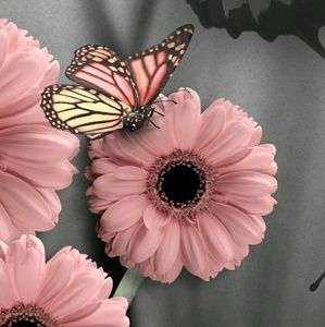 Meet your Posher, Krystal