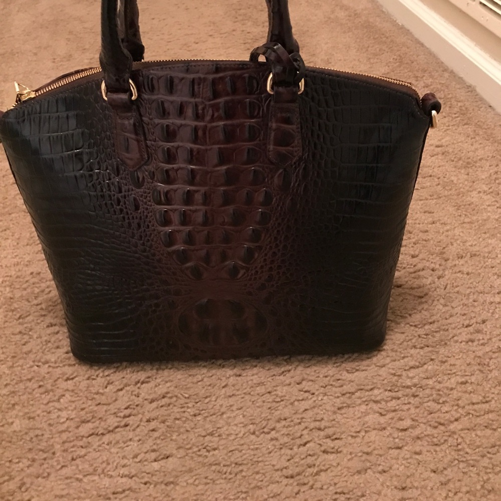 Brahmin brand new cocoa color duxbury handbag