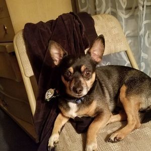 Meet your Posher, Jerri