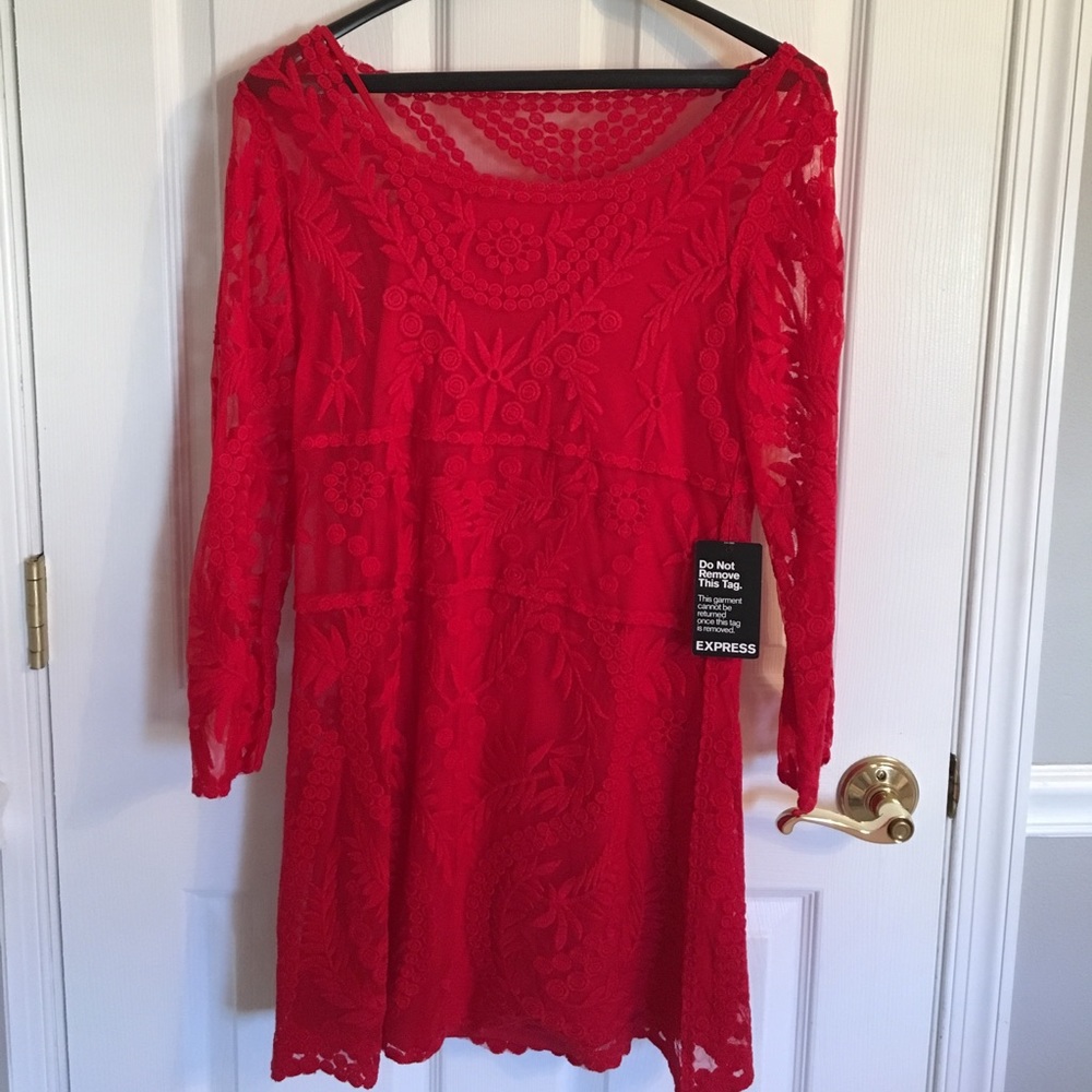 NWT Lace Embroidered Express Dress