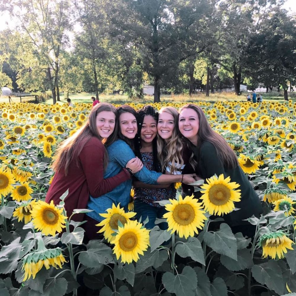 Meet your Posher, Taylor