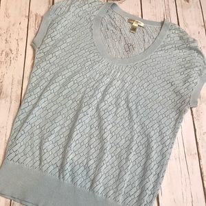 Banana Republic- Pale Blue Sheer Layering Top, S