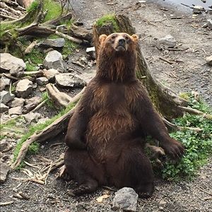 Meet your Posher, Jack