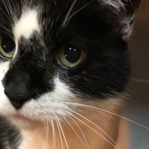 Meet your Posher, Marybeth