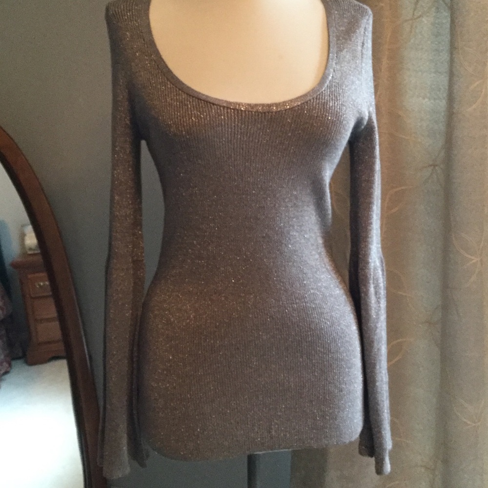 INC silver Holiday Top🎄