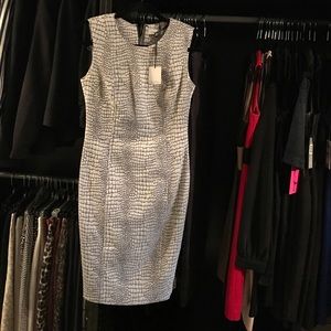 Calvin Klein Dress