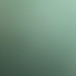 Meet your Posher, Gianna