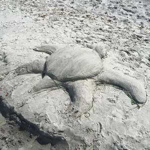 Meet your Posher, Ashlee