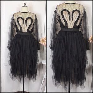 Sheer Laced Top With Matching Tier Laced Skirt