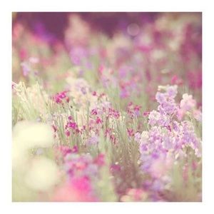 Meet your Posher, Heidi