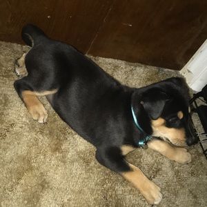 Meet your Posher, Jazelle