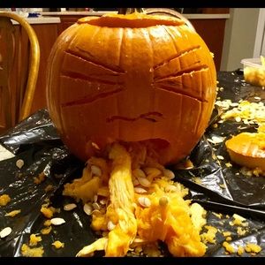 Meet your Posher, Josie