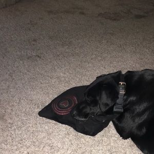 Meet your Posher, Kim