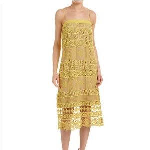 Greylin lace midi dress Yellow