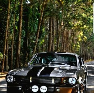 Meet your Posher, Johnny