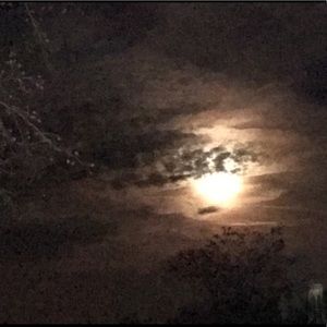 Meet your Posher, Pat