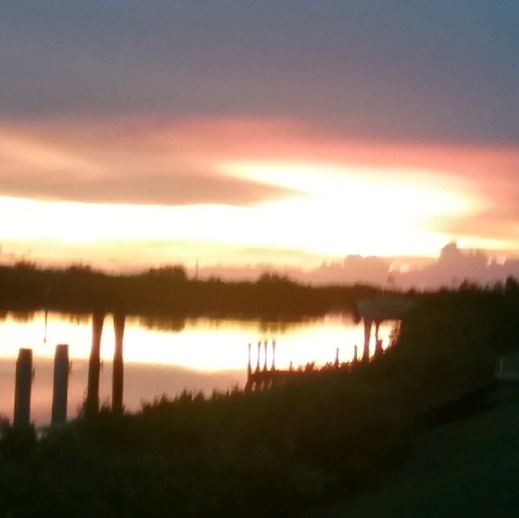 Meet your Posher, Viv - Picture 1 of 1