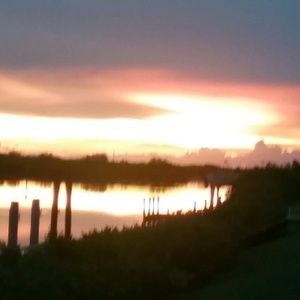 Meet your Posher, Viv