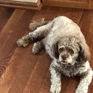 Meet your Posher, Sally