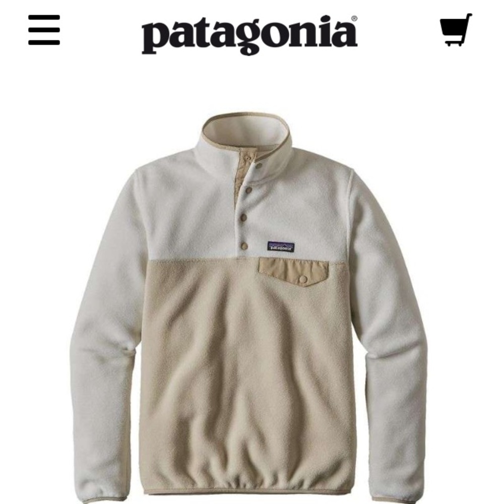 Patagonia Women's Synchilla Fleece Pullover